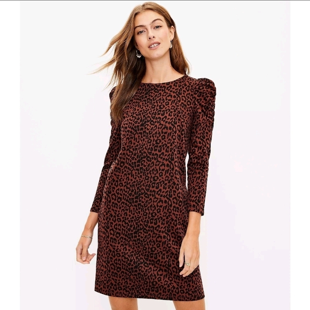 Ann Taylor Leopard Knit Dress 🤎🖤